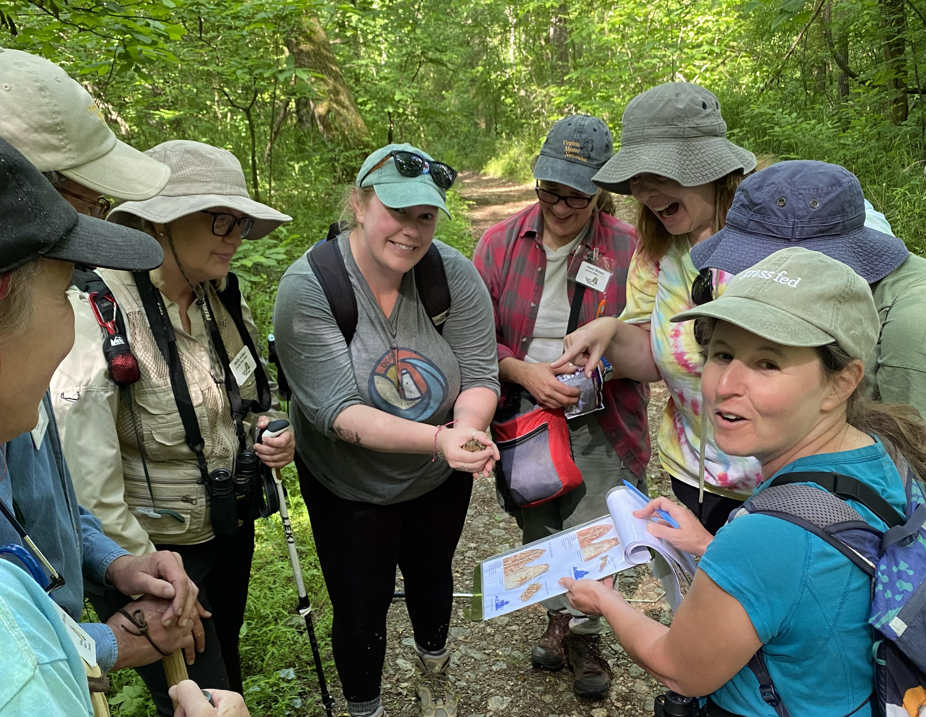 A group examining a toad