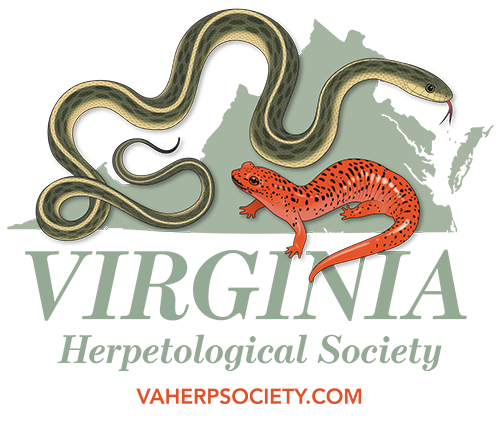 Virginia Herpetological Society - Snake Quiz #1